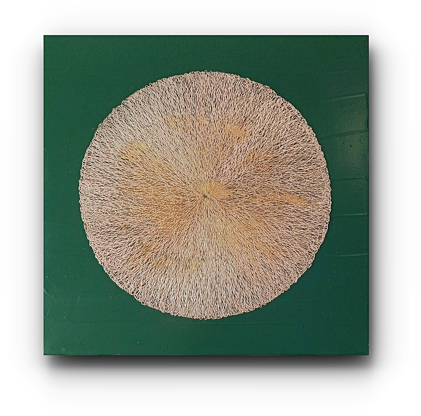 Circle of Life - 50x50cm